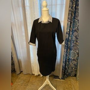 TALBOTS pretty navy knit dress pop collar cuffed sleeves size petite large